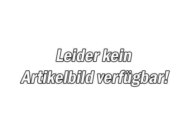 Statikmischer für 2 K Zargenschaum 210ml
